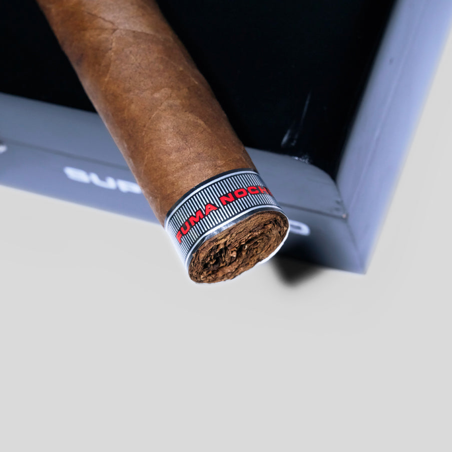 Fuma Noche Super Toro | Box 16 | Aladino cigar - HK Migratory cigars