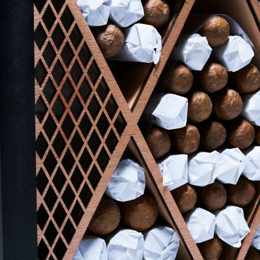 Asylum PCA Exlcusive 2024 | Box 100 | CLE cigar - HK Migratory cigars | 雪茄香港