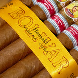 叶巻日本地区限定版(2025年份)