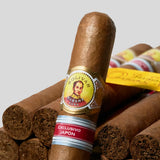 叶巻日本地区限定版(2025年份)