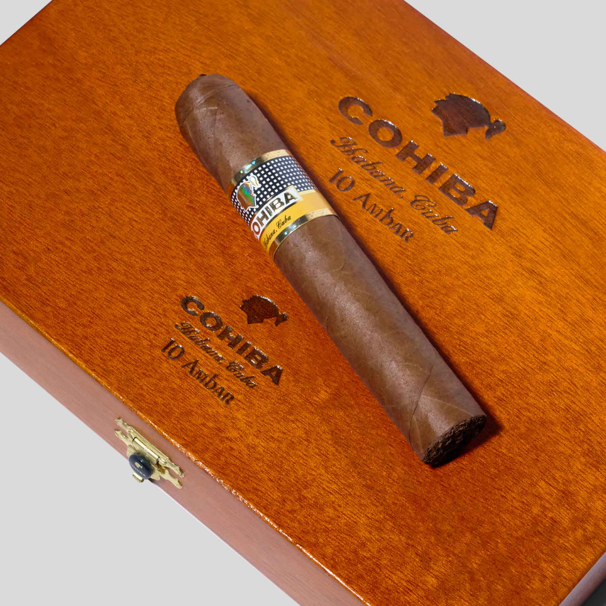 Ambar | Box 10 | Cohiba cigar - HK Migratory cigars