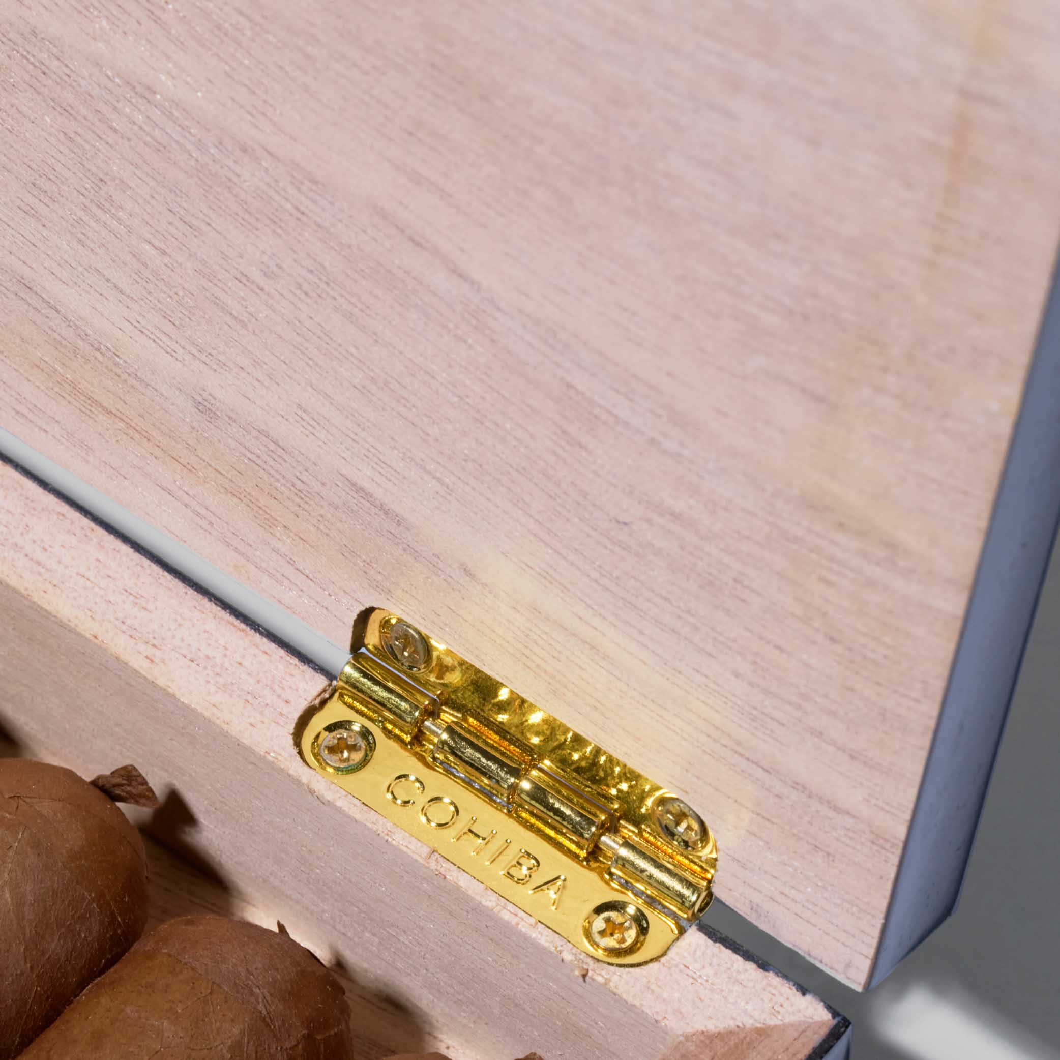 Cohiba Behike BHK 54| Vintage 2019 | Buy Cuban Cigar from Migratory HK | 古巴雪茄 香港