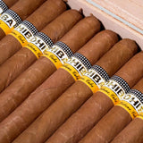 Lanceros (Vintage 2013) | Box 25 | Cohiba cigar - HK Migratory cigars