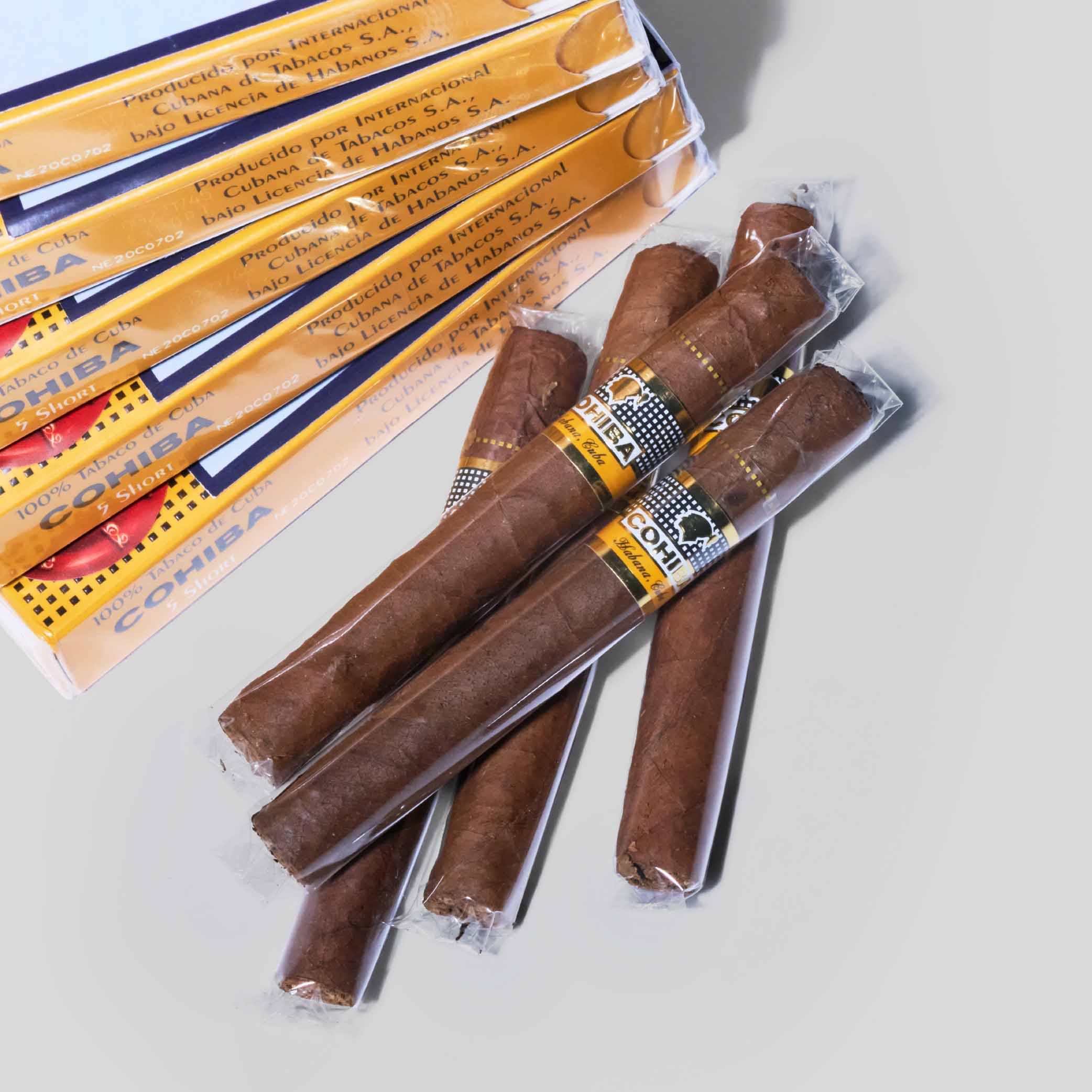 Short | Box 10 | Cohiba cigar - HK Migratory cigars | 雪茄 香港