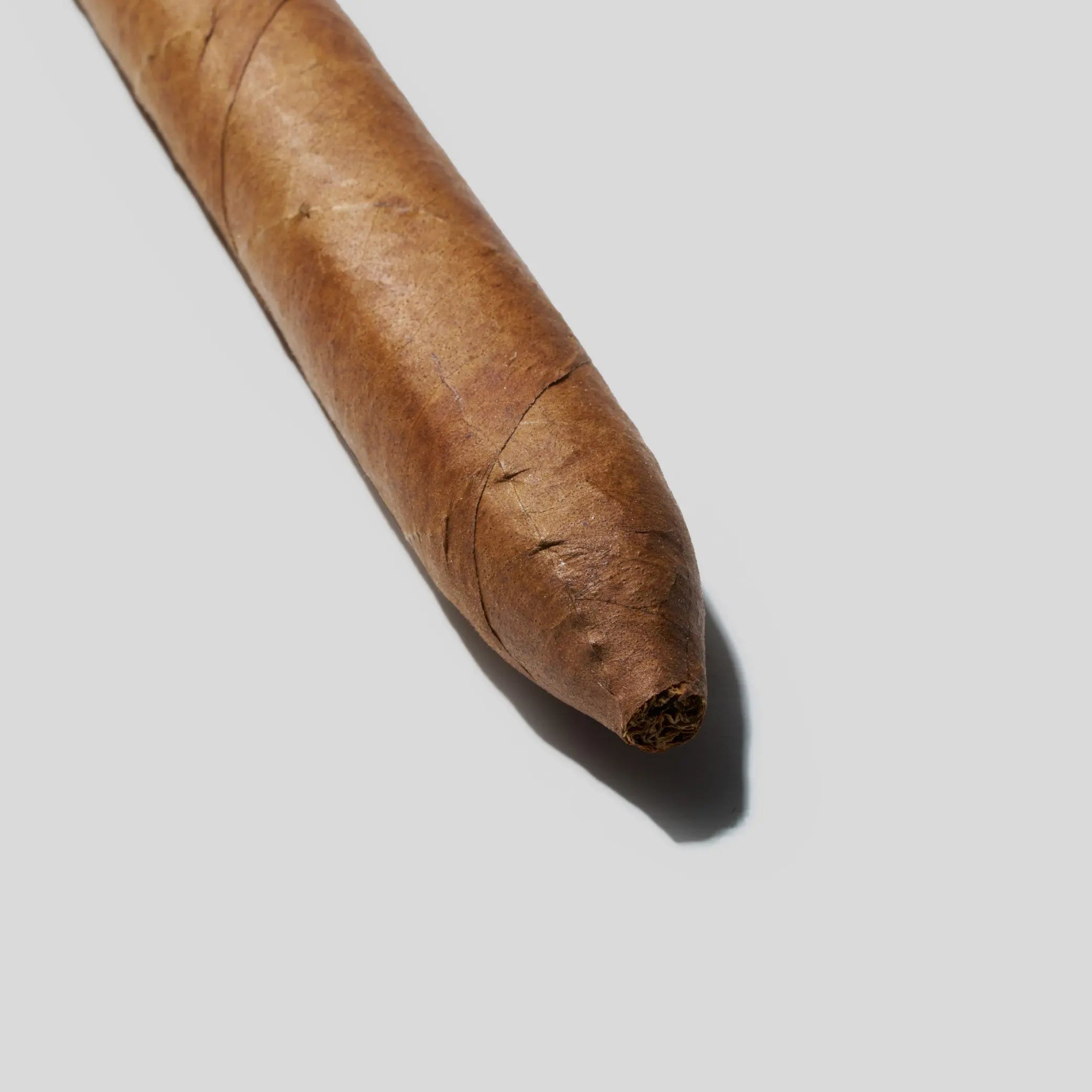 Salomones | Box 10 | Cuaba cigar - HK Migratory cigars