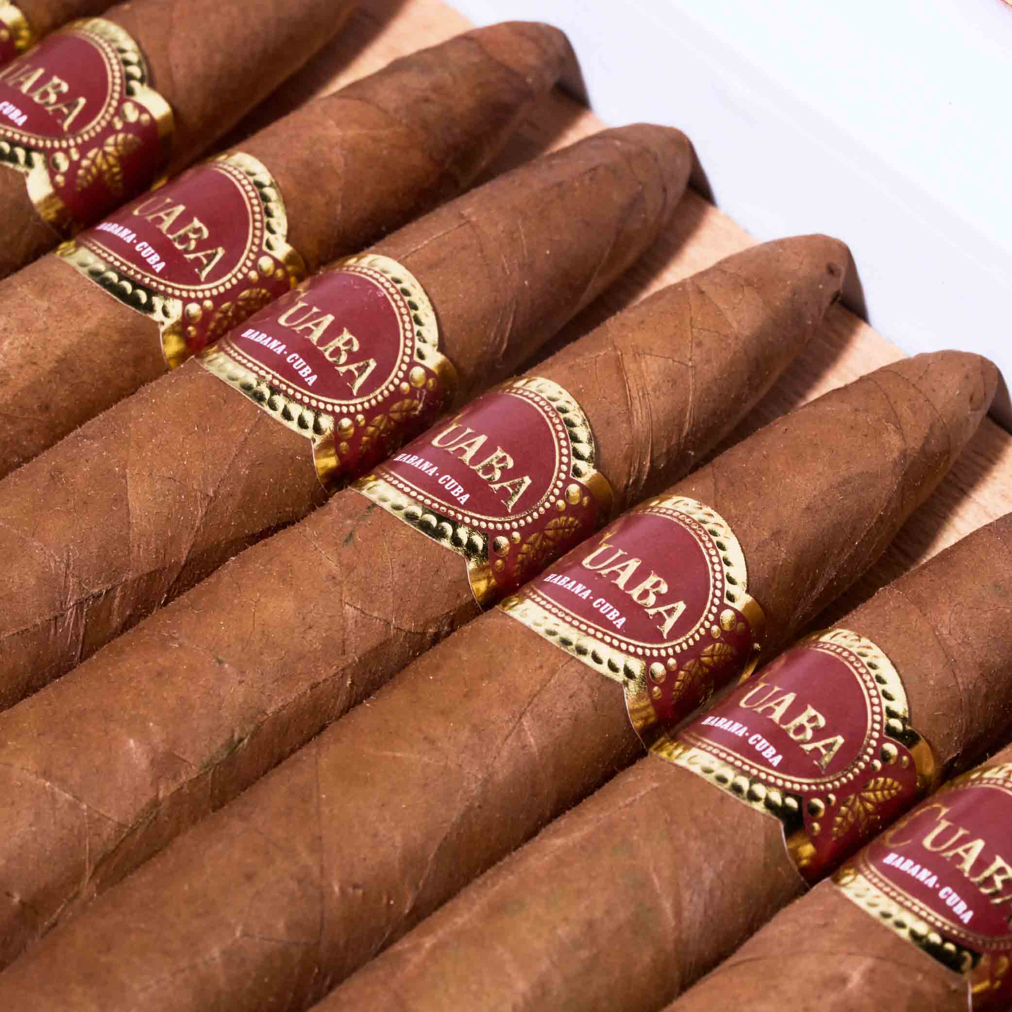 Tradicionales | Box 25 | Cuaba cigar - HK Migratory cigars | 雪茄 香港