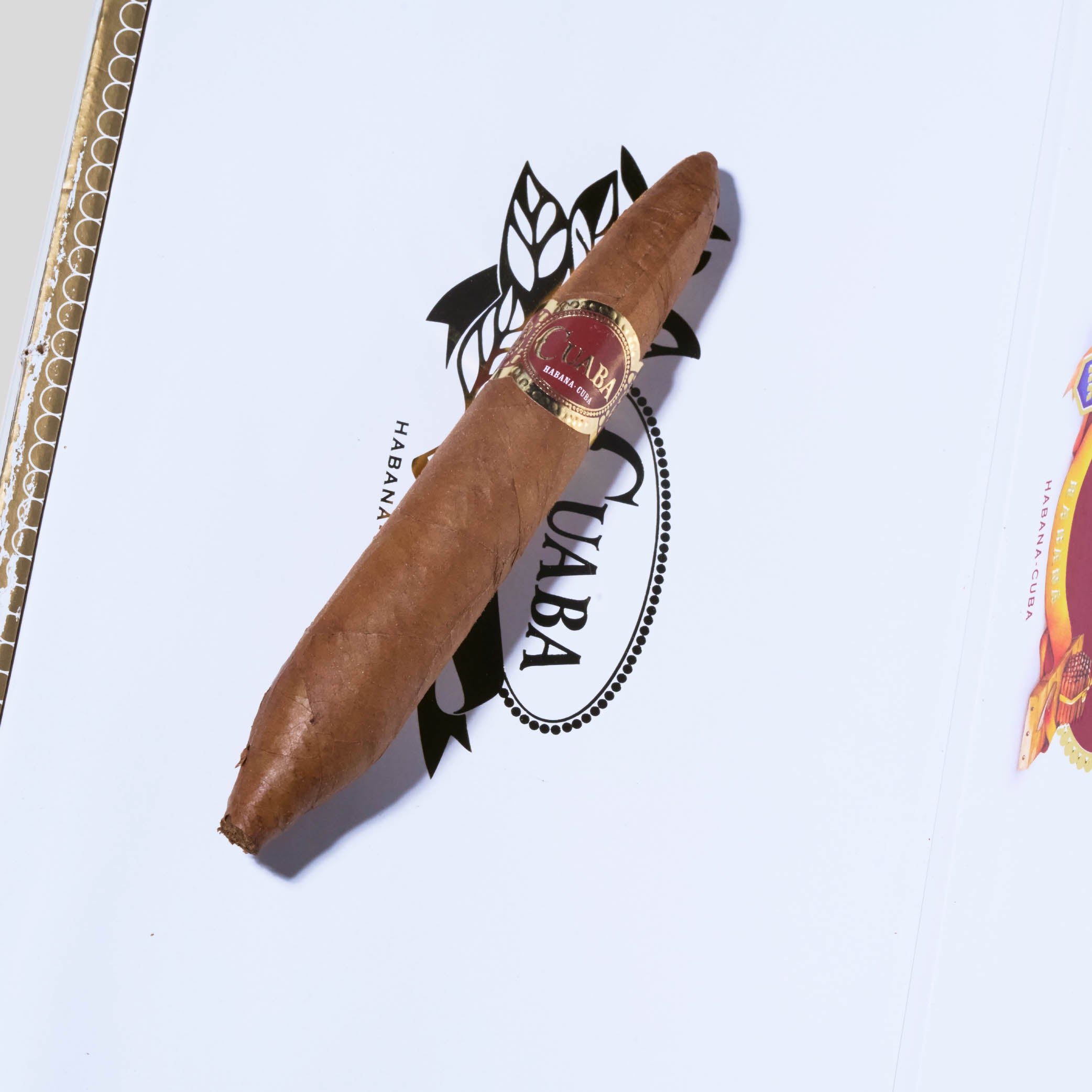 Tradicionales | Box 25 | Cuaba cigar - HK Migratory cigars | 雪茄 香港