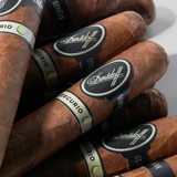 Escurio Gran Toro Cigar Bundle (Uncut) | Bundle 10 | Davidoff cigar - HK Migratory cigars | 雪茄香港