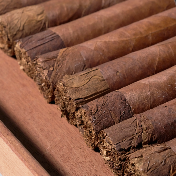 Escurio Gran Toro Cigar Bundle (Uncut) | Bundle 10 | Davidoff cigar - HK Migratory cigars | 雪茄香港