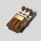 Master Selection Edition 2014 | Box 10 | Davidoff cigar - HK Migratory cigars | 雪茄香港