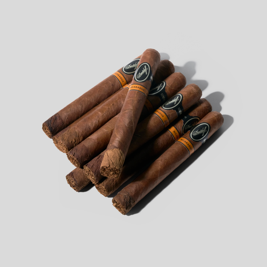 Nicaragua Robusto Cigar Bundle (Uncut) | Bundle 10 | Davidoff cigar - HK Migratory cigars | 雪茄香港