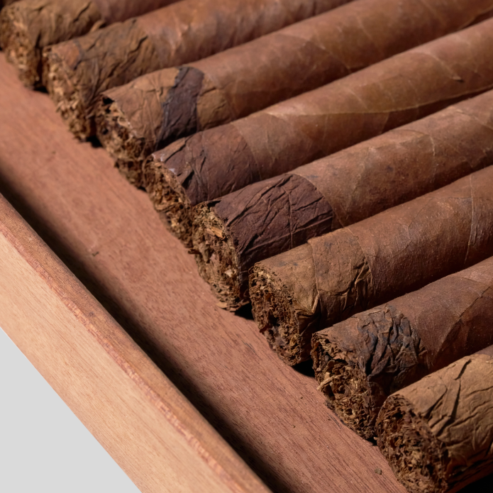 Nicaragua Robusto Cigar Bundle (Uncut) | Bundle 10 | Davidoff cigar - HK Migratory cigars | 雪茄香港