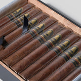 Winston Churchill The Late Hour Toro (5 Sticks)