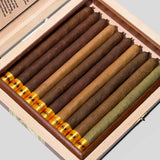 穆埃斯特拉·德·薩卡#GFY 長矛型系列