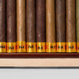 Muestra de Saka #GFY Lancero Collection Sampler