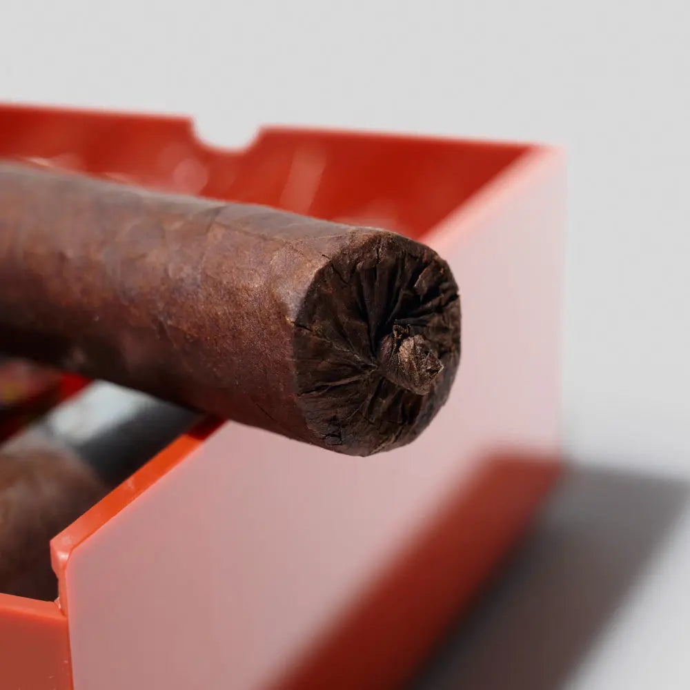 The Zaya Collection Bomba Orange | Box 20 | El Septimo Cigar | Migratory Cigar HK | 雪茄香港 | Cigar HK