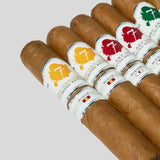 埃爾塞普雪茄套裝 B (8支裝)