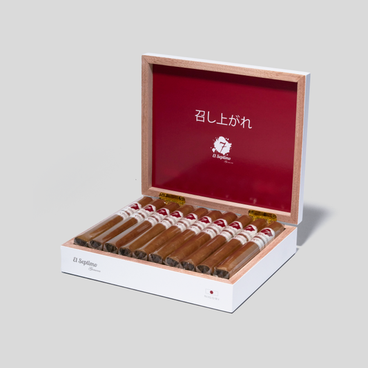 The Culinary Art Collection Nigori | Box 20 | El Septimo Cigar | Migratory Cigar HK | 雪茄香港 | Cigar HK