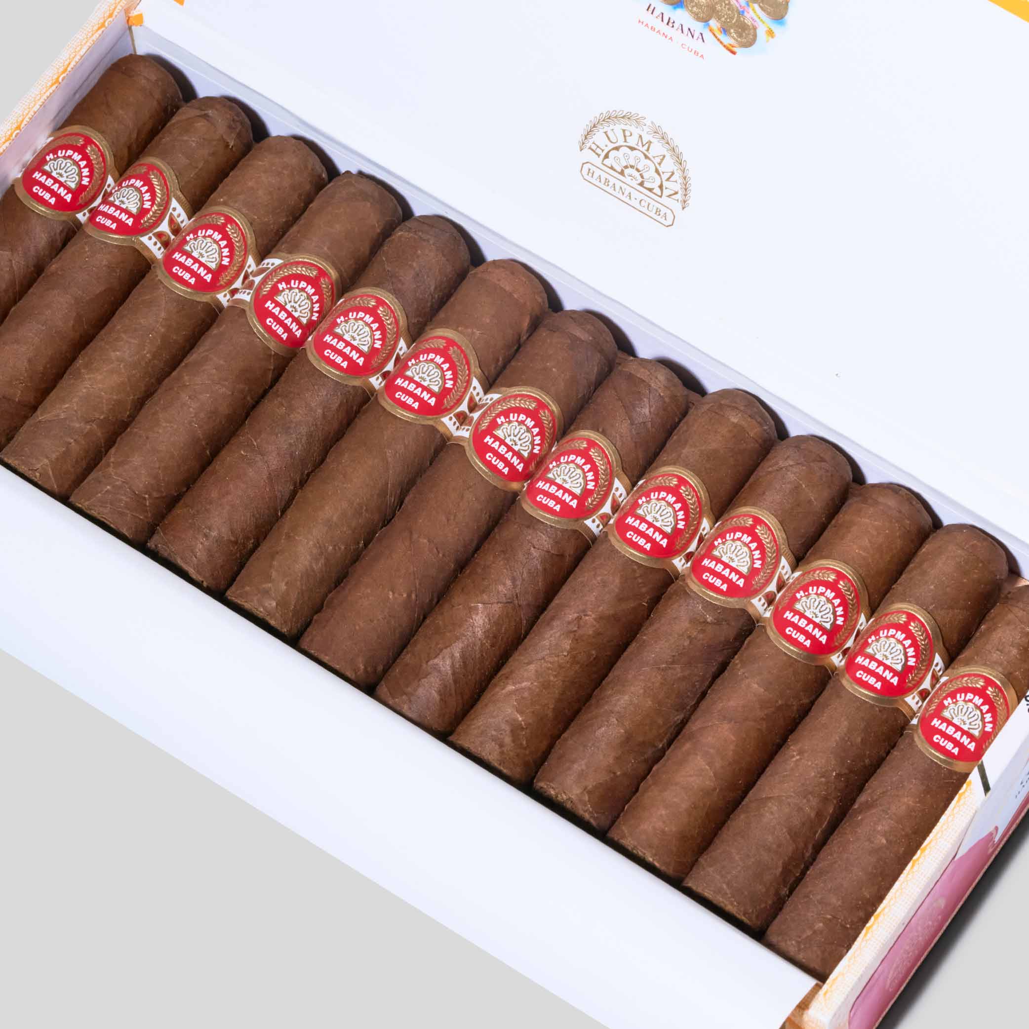 Half Corona | Box 25 | H.Upmann cigar - HK Migratory cigars | 雪茄 香港
