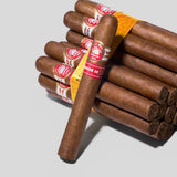 Magnum 46 | Box 25 | H.Upmann cigar - HK Migratory cigars | 雪茄 香港