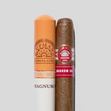 Magnum 50 Tubos Paper Box Packing | Box 15 | H.Upmann cigar - HK Migratory cigars | 雪茄 香港