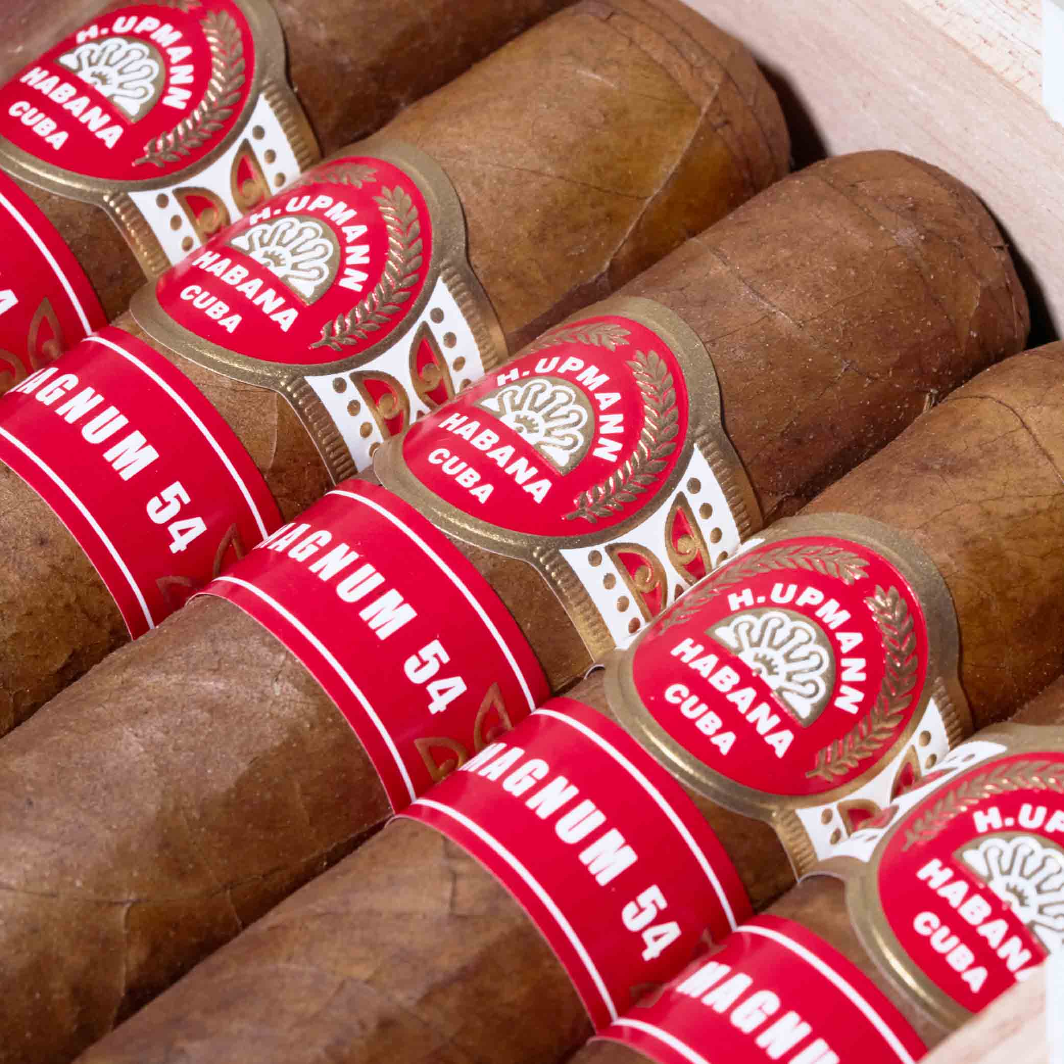 Magnum 54 | Box 10 | H.Upmann cigar - HK Migratory cigars | 雪茄 香港