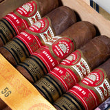 Magnum 56 Edicion Limitada 2015 (Vintage 2015) | Box 25 | H.Upmann cigar - HK Migratory cigars | 雪茄 香港