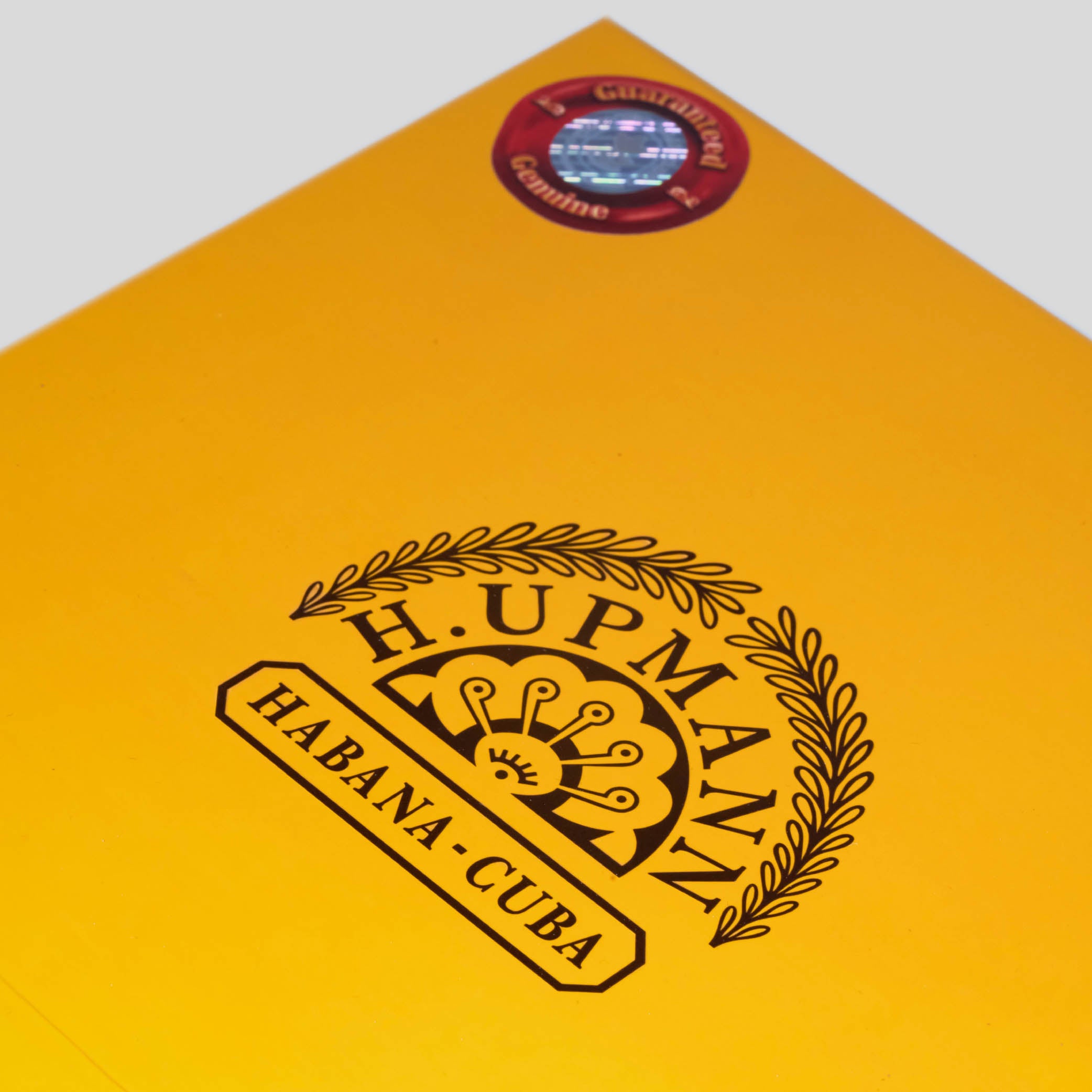 Magnum 56 Jar | Box 20 | H.Upmann cigar - HK Migratory cigars | 雪茄 香港