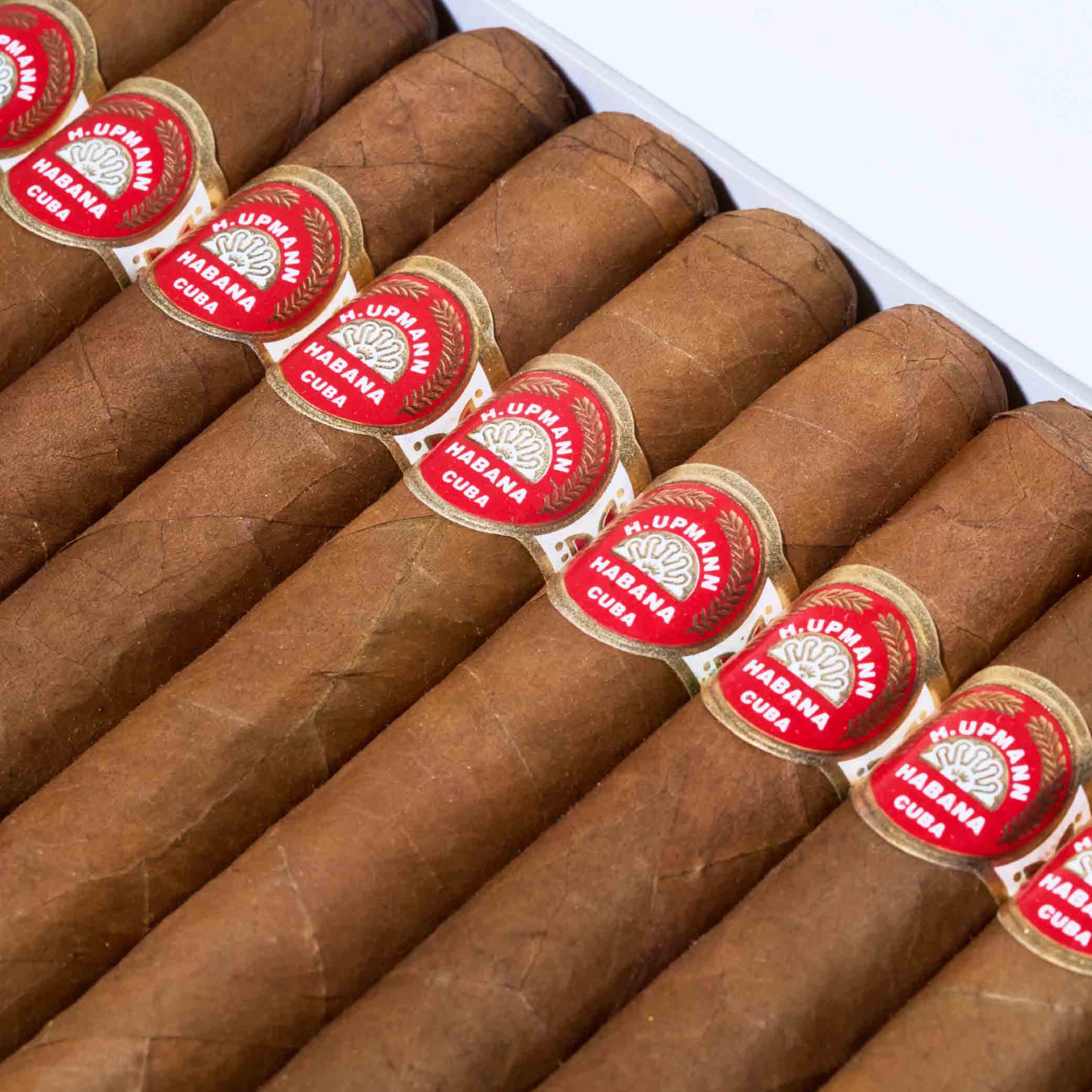 Majestics | Box 25 | H.Upmann cigar - HK Migratory cigars | 雪茄香港