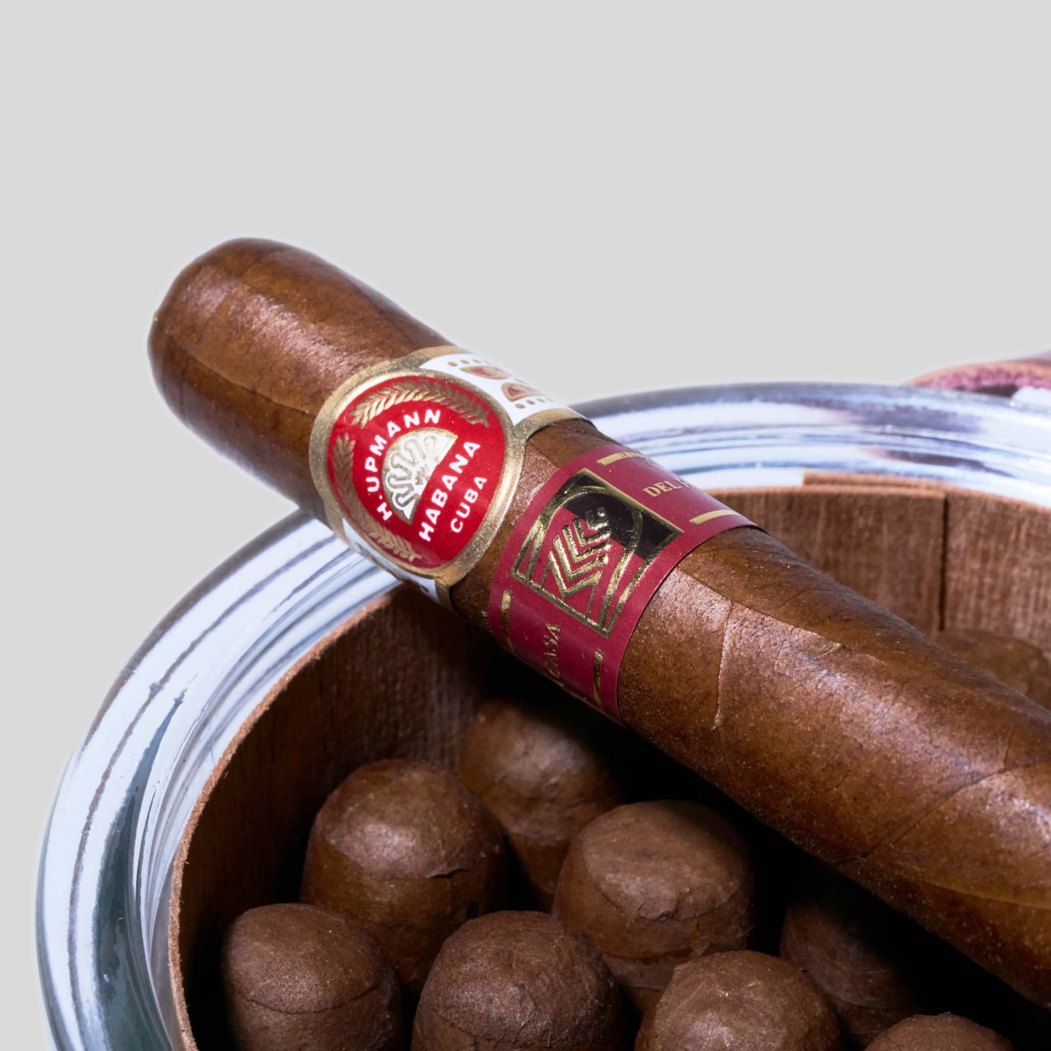 Noellas LCDH Jar | Box 25 | H.Upmann cigar - HK Migratory cigars | 雪茄 香港