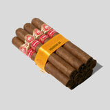 Magnum 50 (Vintage 2008) | Box 10 | H.Upmann cigar - HK Migratory cigars | 雪茄 香港