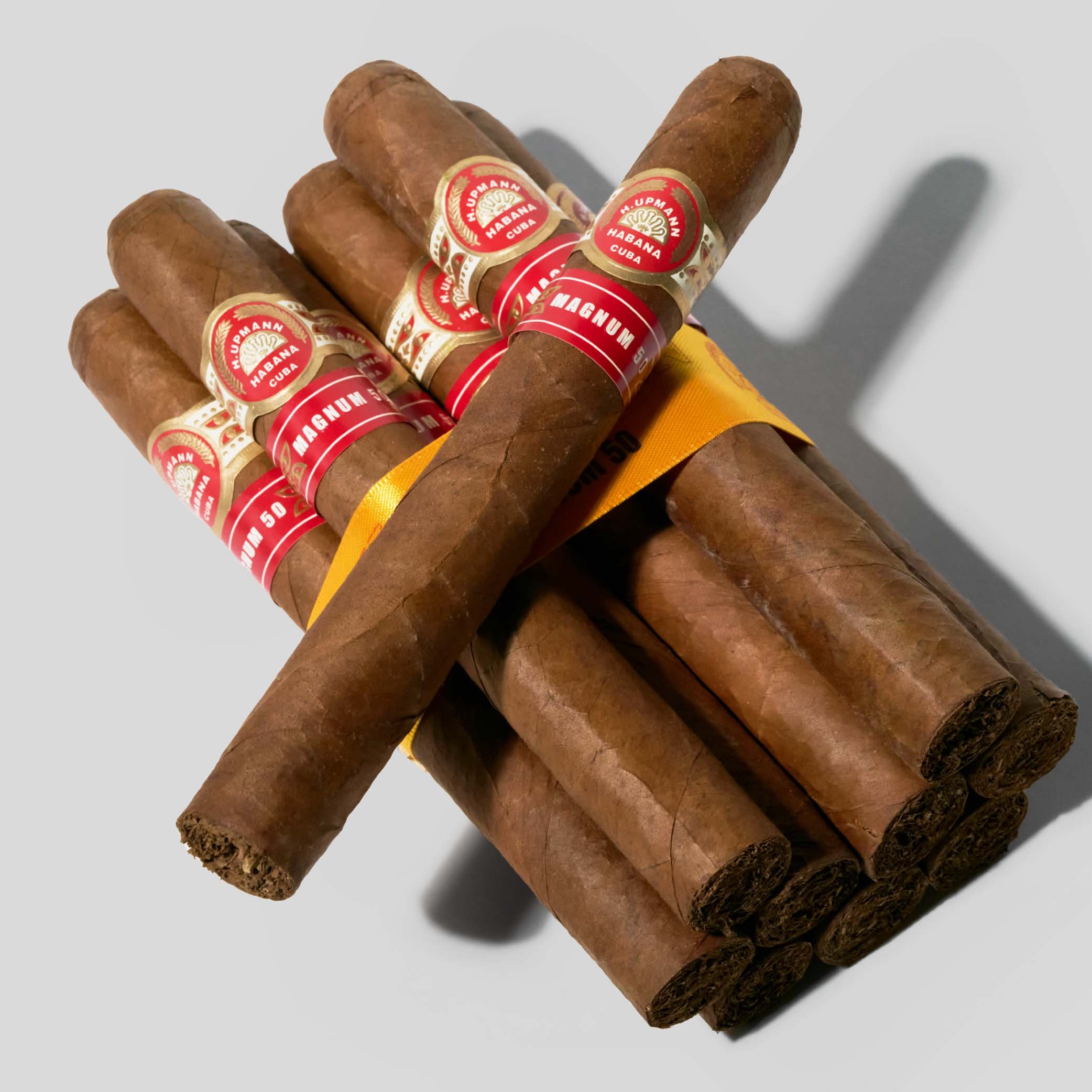 Magnum 50 (Vintage 2008) | Box 10 | H.Upmann cigar - HK Migratory cigars | 雪茄 香港