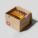 Petit Robustos (5 Sticks)