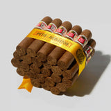 Petit Robustos (5 Sticks)