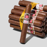 Epicure Especial | Box 25 | Hoyo de Monterrey cigar - HK Migratory cigars