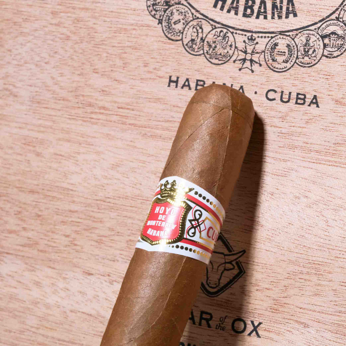 Primaveras Year of The Ox 2021 | Box 18 | Hoyo de Monterrey cigar - HK Migratory cigars