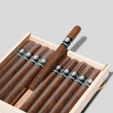 替代者十大特長朗斯代爾2024限量版