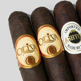 黑葉系列 B (10支裝)