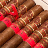 Serie V Melanio Edición Año 2024 Gran Toro