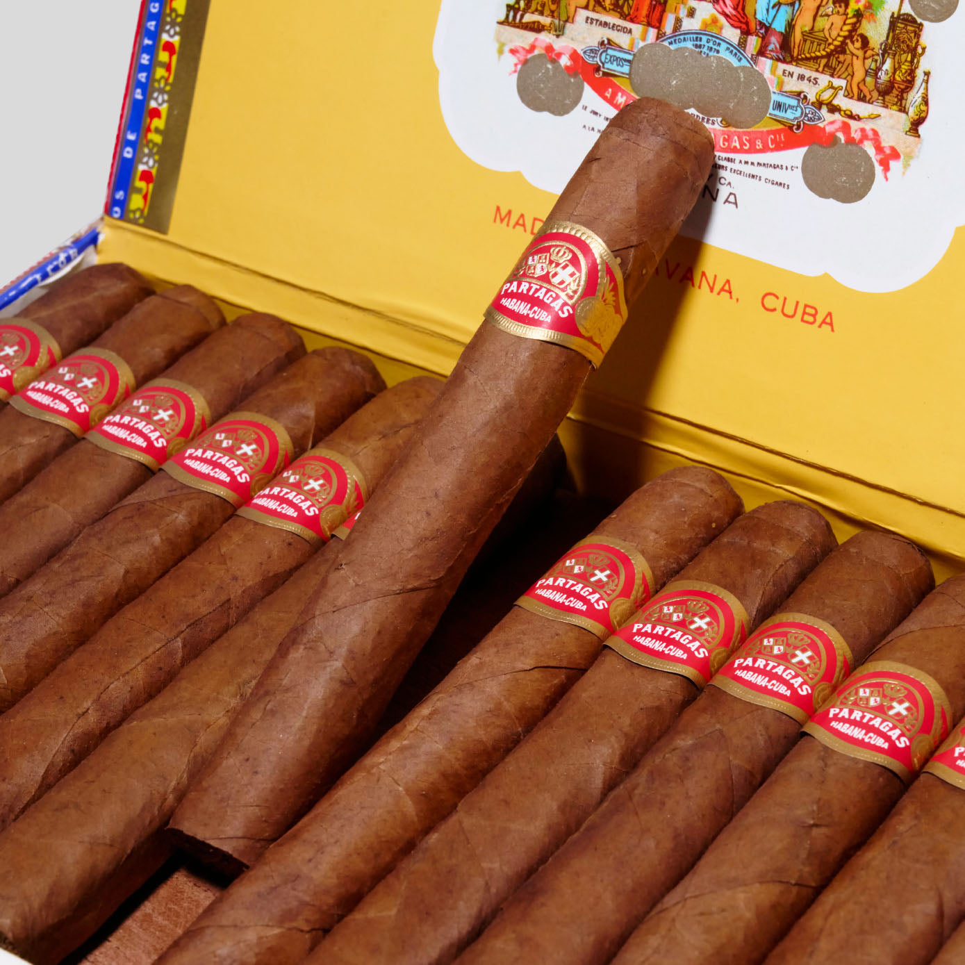 Mille Fleurs (Vintage 2018) | Box 25 | Partagas cigar - HK Migratory cigars