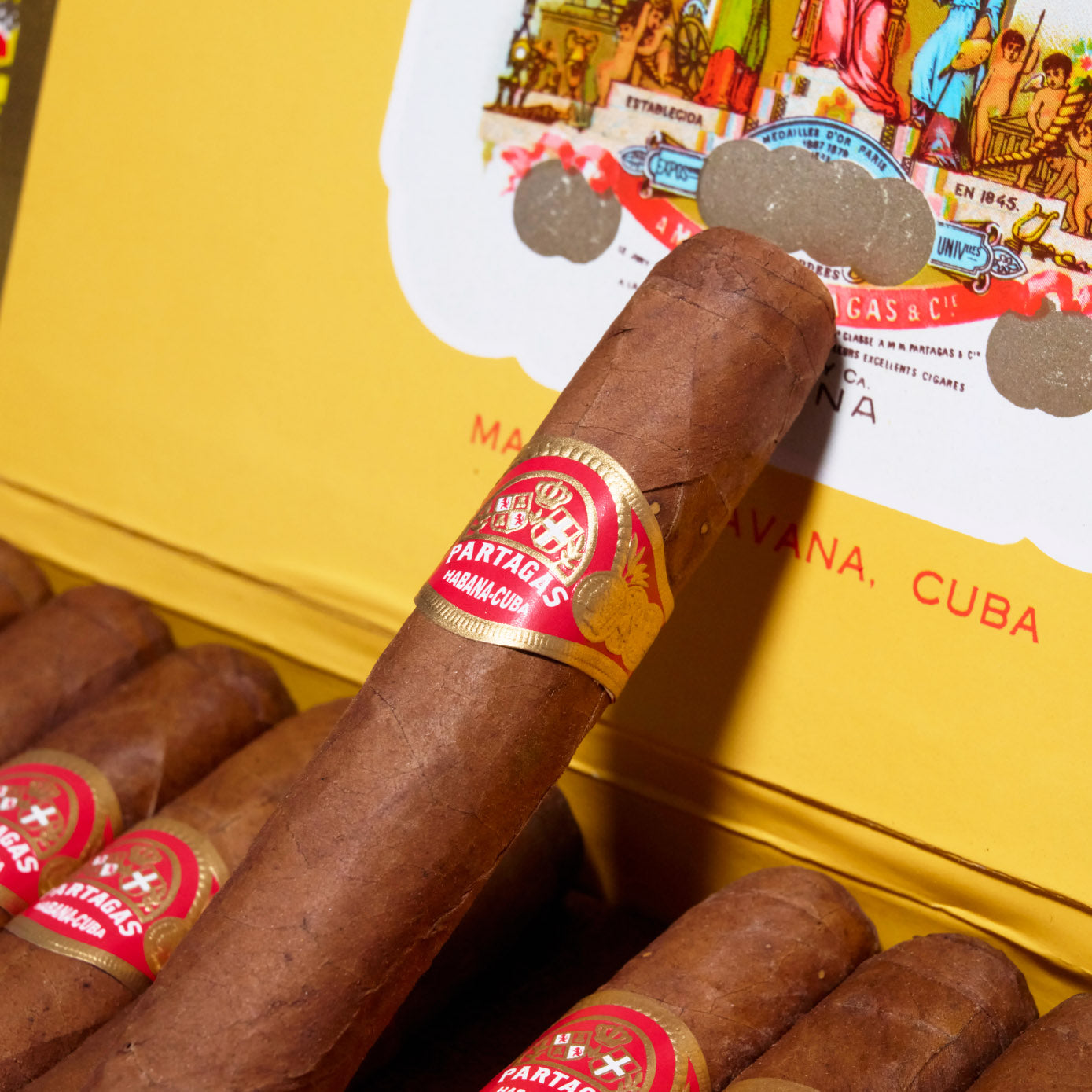 Mille Fleurs (Vintage 2018) | Box 25 | Partagas cigar - HK Migratory cigars