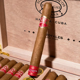 Royales Travel Humidor