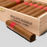 Serie D No.5