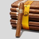 Petit Corona | Box 50 | Por Larranaga cigar - HK Migratory cigars