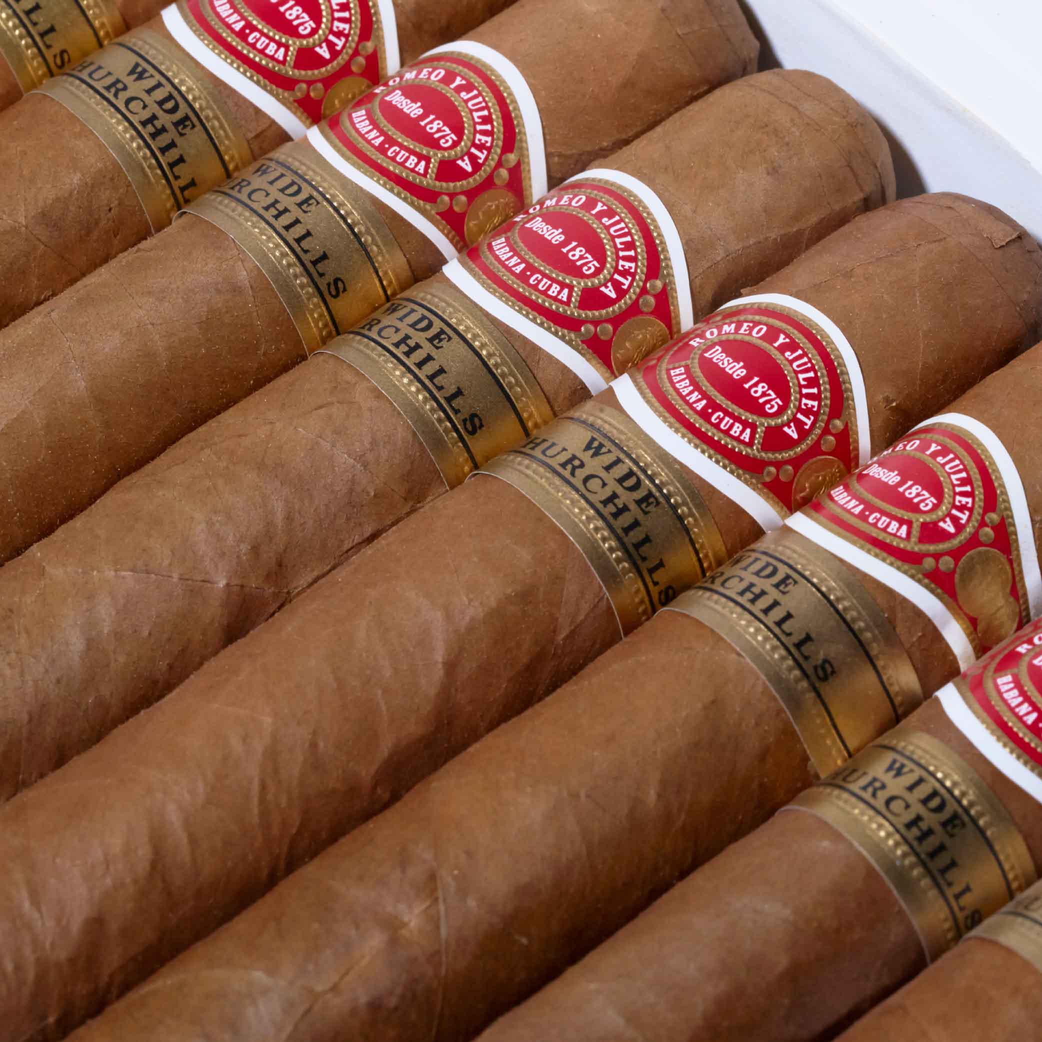 Wide Churchill (Vintage 2019) | Box 10 | Romeo y Julieta cigar - HK Migratory cigars | 雪茄 香港站