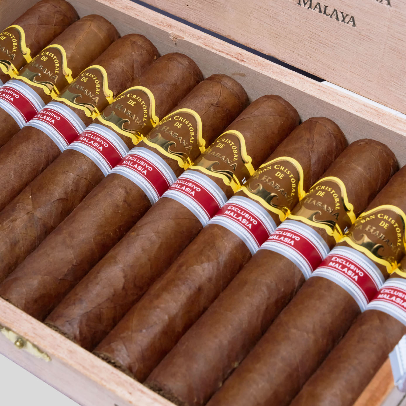 Harimau Malaya Edicion Regional Malasia 2020 | Box 10 | San Cristobal cigar - HK Migratory cigars