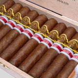 Harimau Malaya Edicion Regional Malasia 2020 | Box 10 | San Cristobal cigar - HK Migratory cigars