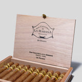 Prado LCDH | Box 10 | San Cristobal cigar - HK Migratory cigars