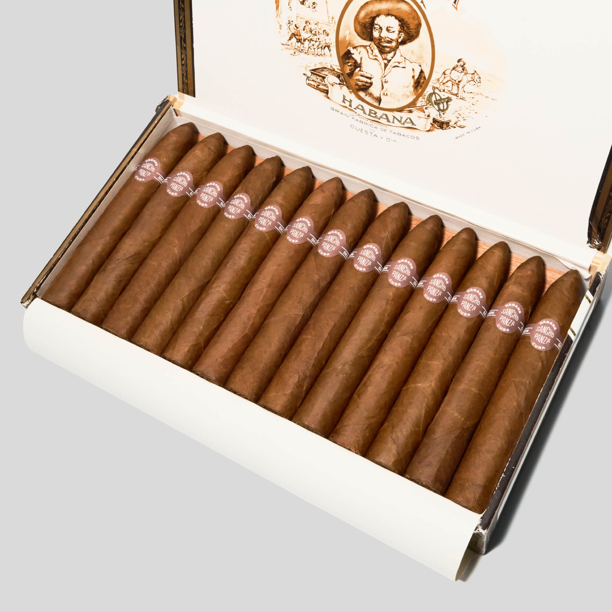 Belicosos | Box 25 | Sancho Panza cigar - HK Migratory cigars