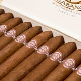 Belicosos | Box 25 | Sancho Panza cigar - HK Migratory cigars